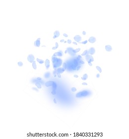 Dark blue flower petals falling down. Quaint romantic flowers explosion. Flying petal on white square background. Love, romance concept. Astonishing wedding invitation.