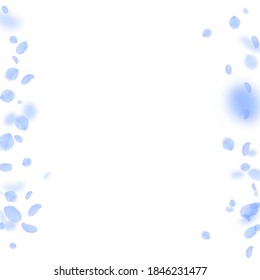 Dark blue flower petals falling down. Magnetic romantic flowers borders. Flying petal on white square background. Love, romance concept. Actual wedding invitation.