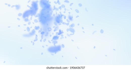 Dark blue flower petals falling down. Comely romantic flowers explosion. Flying petal on blue sky wide background. Love, romance concept. Delicate wedding invitation.