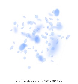 Dark blue flower petals falling down. Appealing romantic flowers explosion. Flying petal on white square background. Love, romance concept. Artistic wedding invitation.