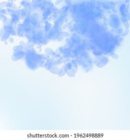 Dark blue flower petals falling down. Incredible romantic flowers semicircle. Flying petal on blue sky square background. Love, romance concept. Cool wedding invitation.