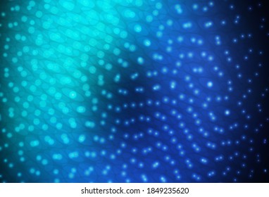 Dark Blue, Green vector background with bubbles. Glitter abstract illustration with blurred drops of rain. New template for your brand book.