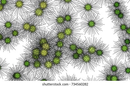 Dark Blue, Green vector cover with sea urchins. Natural illustration with sea urchins on white background. The pattern can be used for websites of animals.