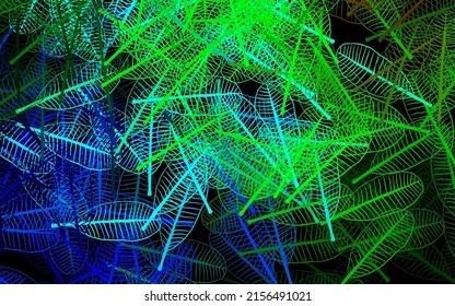 Azul oscuro, fondo de doodle vectorial verde con hojas. Ilustración abstracta brillante con garabatos y hojas. Diseño pintado a mano para la web, folletos.