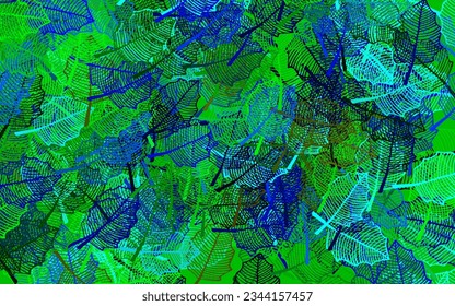 Dark Blue, Green vector doodle pattern with leaves. Decorative illustration with doodles on abstract template. Hand painted design for web, leaflets.