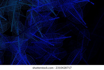 Dark Blue, Green vector elegant pattern with leaves. Shining colored illustration with leaves in doodle style. New design for your business.