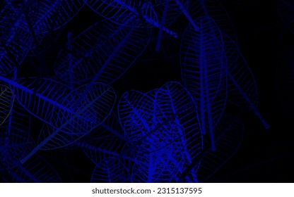 Dark Blue, Green vector elegant wallpaper with flowers, leaves. Sketchy doodles on white background. New template for your brand book.