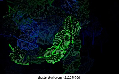Dark Blue, Green vector natural backdrop with leaves. Colorful illustration in doodle style with leaves, flowers. Template for backgrounds of cell phones.