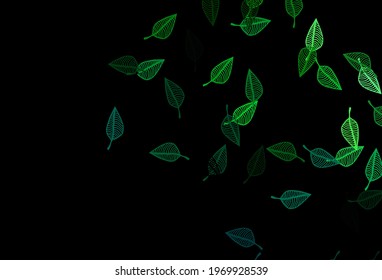 Dark Blue, Green vector sketch backdrop. Creative illustration in simple style with leaves. Pattern for wallpapers and coloring books.