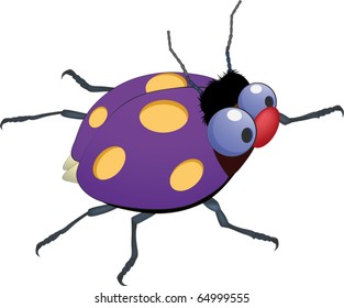Dark blue ladybird