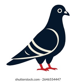 Pigeon azul escuro Pássaro Ilustração Pés vermelhos listras beges