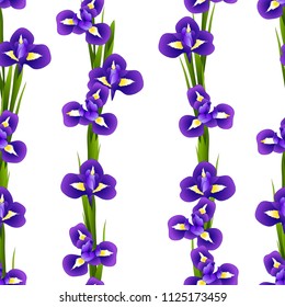 Dark Blue Purple Iris Flower on White Background. Vector Illustration.