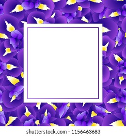 Dark Blue Purple Iris Flower Banner Card. Vector Illustration.