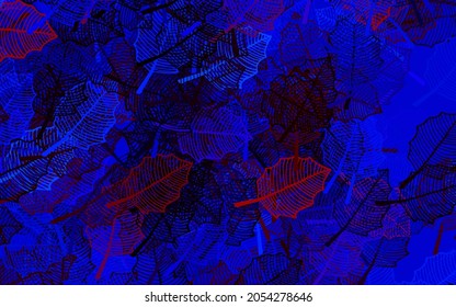 Dunkelblau, roter Vektordoodle-Hintergrund mit Blättern. Eine elegante, helle Illustration mit Blättern im Naturstil. Muster für Kopf der Websites, Designs.