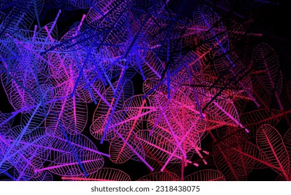 Azul oscuro, rojo vectorial patrón de doodle con flores, hojas. Nueva ilustración de color con hojas y flores. El mejor diseño para su negocio.