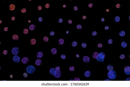 Dark Blue, Red vector elegant wallpaper with flowers, roses. Brand new colored illustration with flowers. New template for your design.
