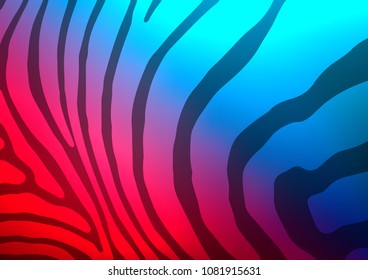 Dark Blue, Red vector natural abstract template. Modern geometrical abstract illustration with doodles. The best blurred design for your business.