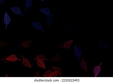 Azul oscuro, textura de dibujo vectorial rojo. Ilustración colorida brillante con hojas en estilo doodle. Diseño pintado a mano para web, volante, textil.