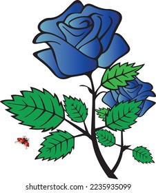 Dark blue rose is a flower of the genus Rosa that presents blue-to-violet pigmentation. Blue roses with a lighter hue symbolize sensitivity and feelings. Ladybugs help roses in the pollination process