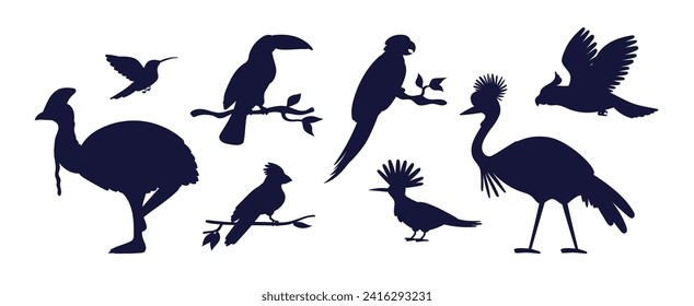 Dark blue silhouettes of different tropical birds flat style, vector illustration isolated on white background. Decorative design elements collection, exotic birds, nature