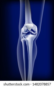 Dark Blue Transparent View Bones Knee Stock Vector (Royalty Free ...