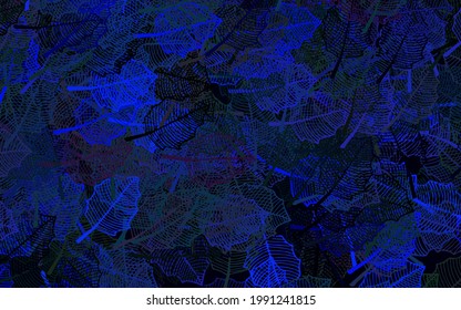 Dark BLUE vector abstract background with leaves. Modern geometrical abstract illustration with leaves. Doodle design for your web site.