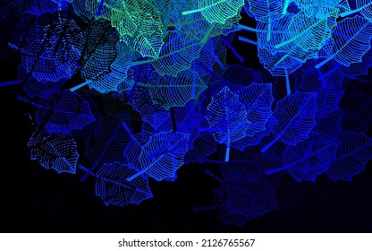 Dark BLUE vector abstract background with leaves. Sketchy doodles on white background. Hand painted design for web, wrapping.