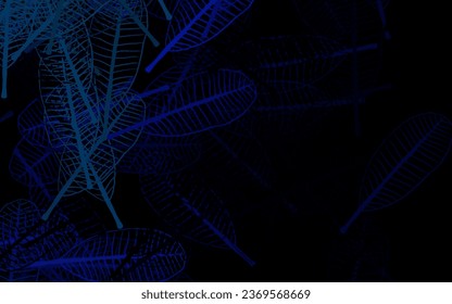 Dark BLUE vector abstract background with leaves. Colorful abstract illustration with leaves in doodle style. New template for your brand book.