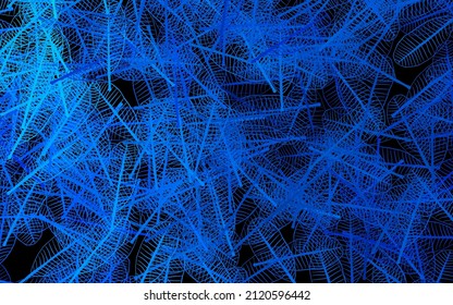 Dark BLUE vector elegant pattern with leaves. Shining colored illustration with leaves in doodle style. Brand new style for your business design.