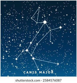 A dark blue vector illustration of the Canis Major constellation with glowing stars