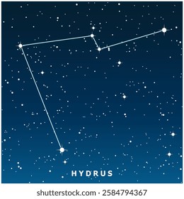 A dark blue vector illustration of the Hydrus constellation with glowing stars