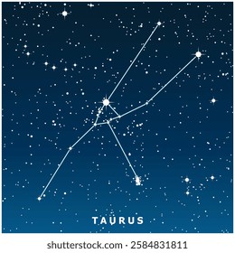 A dark blue vector illustration of the Taurus constellation with glowing stars