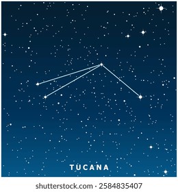 A dark blue vector illustration of the Tucana constellation with glowing stars