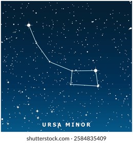 A dark blue vector illustration of the Ursa Minor constellation with glowing stars