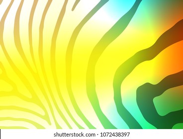 Dark Blue, Yellow vector abstract doodle pattern. Sketchy hand drawn doodles on blurred background. The completely new template can be used for your brand book.
