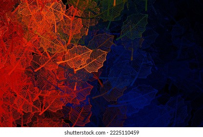Dunkelblau, gelber Vektor elegantes Muster mit Blättern. Kreative Illustration im unscharfen Stil mit Blättern, Blumen. Muster für Tapeten, Farbbücher.