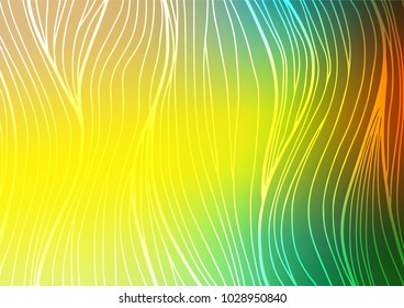 Dark Blue, Yellow vector natural abstract template. Colorful illustration in abstract style with doodles and Zen tangles. The doodle design can be used for your web site.