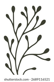 Dark botanical branch with budding leaves. Simple nature illustration for decoration. Minimalist organic design element.