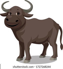 a dark brown buffalo is smiling