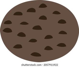 a dark brown cookie isolated