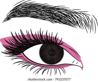 Dark Brown Eye . Beautiful female  eye with pink eyeshadow        