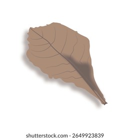 Dark brown leaf minimalist design.