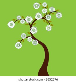 Dark brown tree with white flowers & green leaves, green background