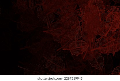 Obra de arte natural vectorial marrón oscuro con hojas. Ilustración de colores brillantes con hojas y flores. Plantilla para fondos de teléfonos móviles.