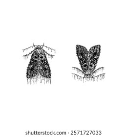 Dark cabbage moths hand drawing vector isolated on white background.