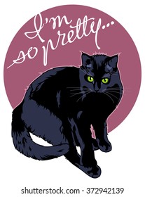 Dark cat on a colorful background 