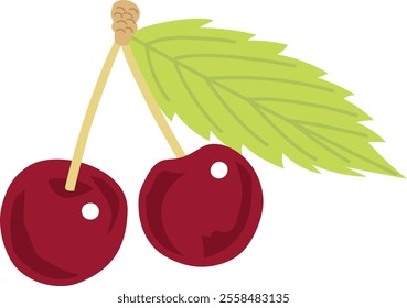 Dark cherry illustration 02.
I drew an illustration of a delicious looking dark cherry.