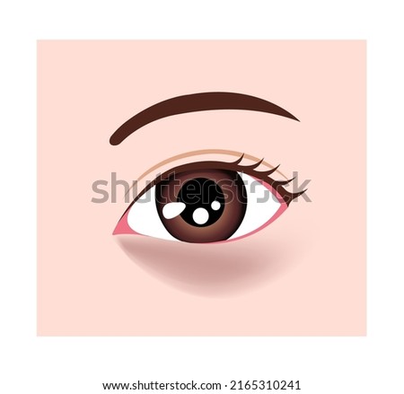 Dark circles under eyes vector illustration ( brown  circles )