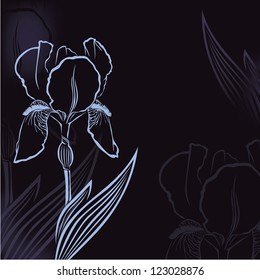 Dark congratulatory background with flower iris