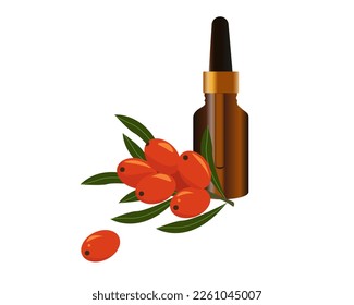 Dark cosmetic bottle for oil, liquid essential oils with sea buckthorn branch. Flat vector illustration